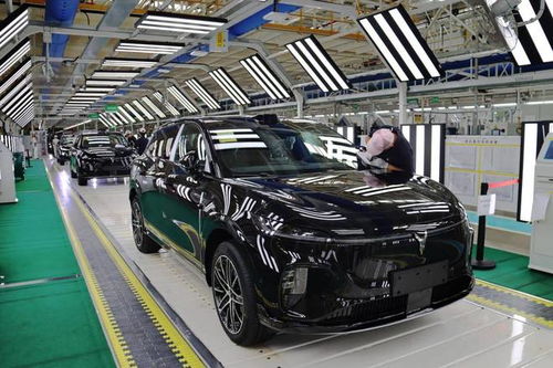 嵐圖汽車雙工廠火力全開，單日產能突破800輛，加速布局汽車市場